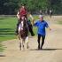Ride and Tie Events: Two People, a Horse, and An Exhilarating Race
